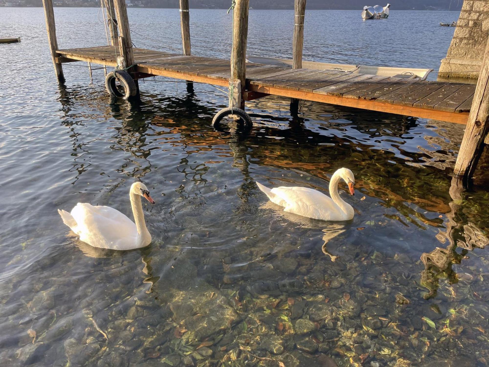 Appartamento Vacanze Al Lago Orta San Giulio Ngoại thất bức ảnh